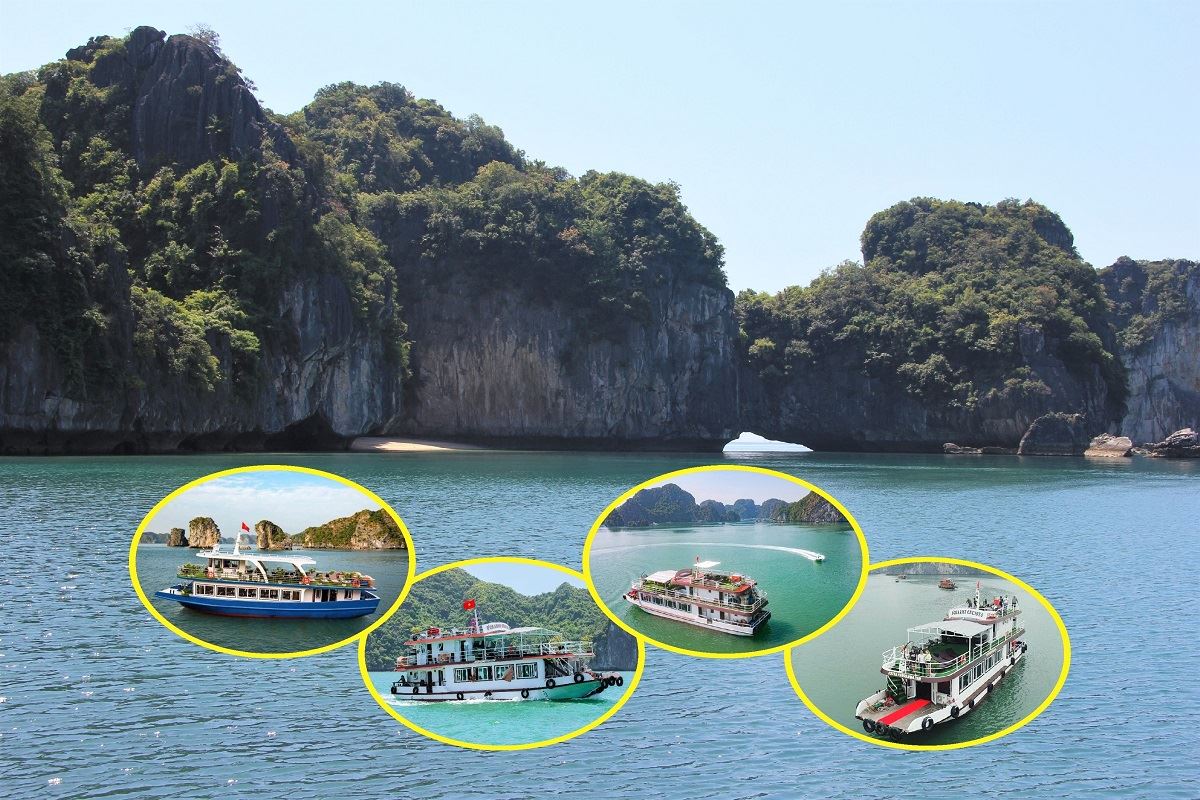Hành trình vịnh Lan Hạ 1 ngày cùng Panorama travel
