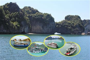 Hành trình vịnh Lan Hạ 1 ngày cùng Panorama travel