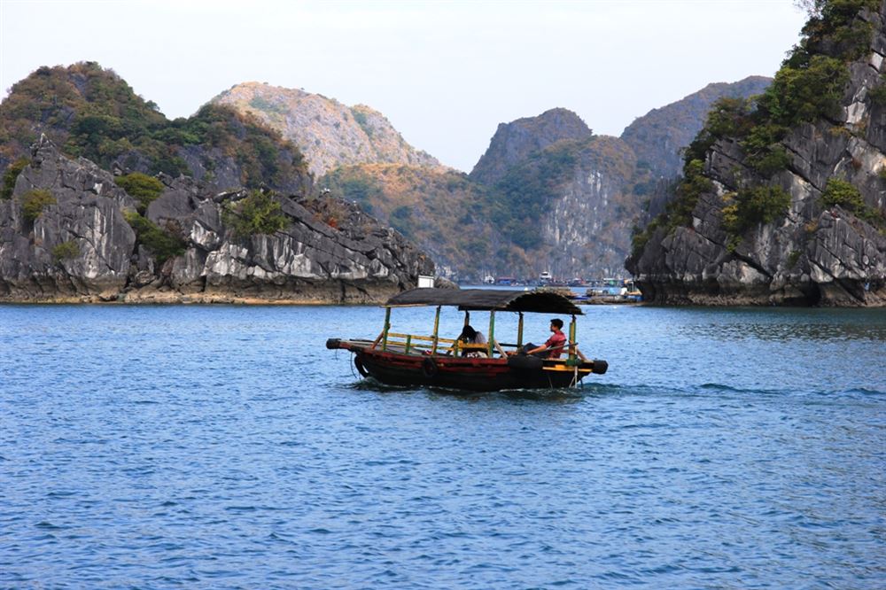 Small fishing boats