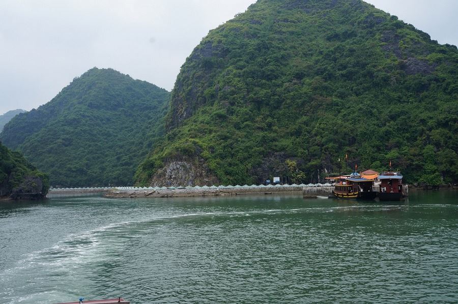 Local Boat: Cat Ba town - Viet Hai Village