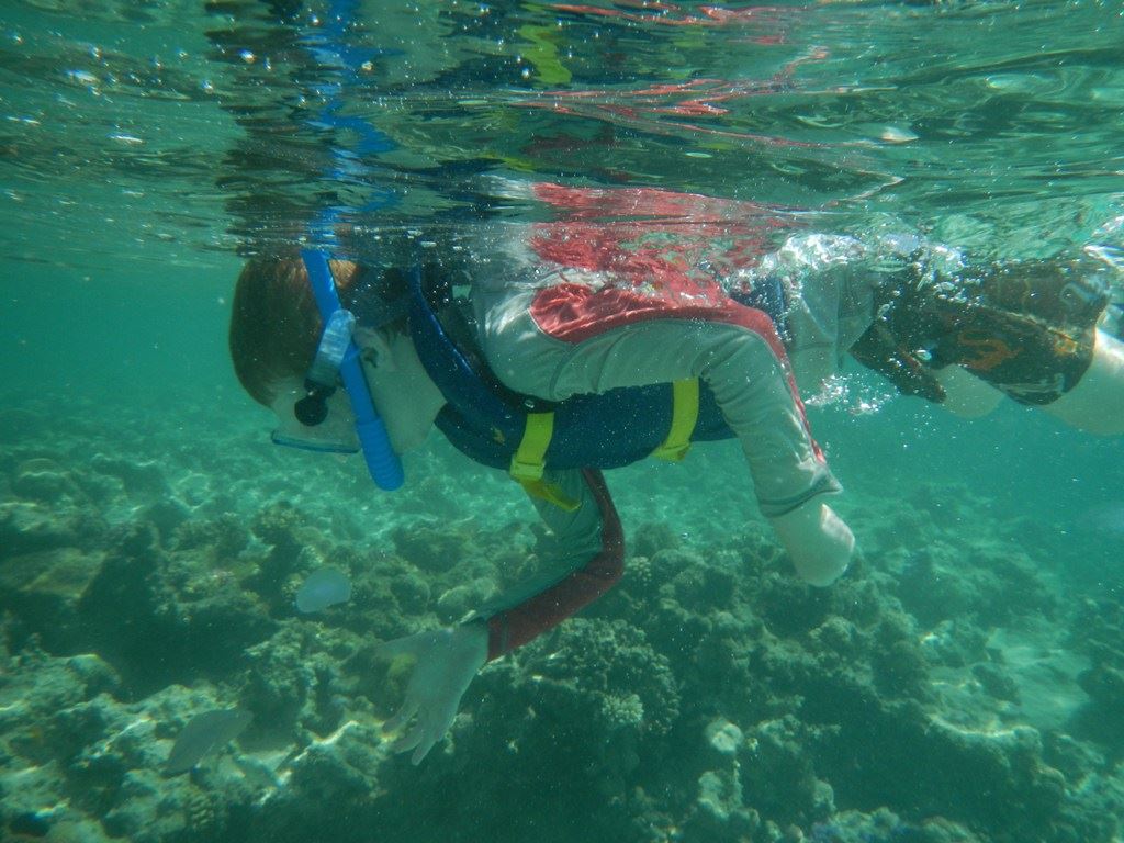 snorkeling to see coral reefs