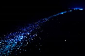 Night kayak on Lan Ha Bay to see sparkling bioluminescent plankton