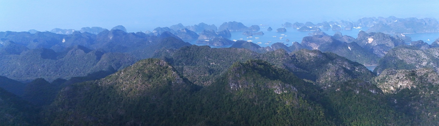 Cat Ba Bay