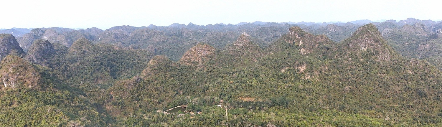 Cat Ba National park