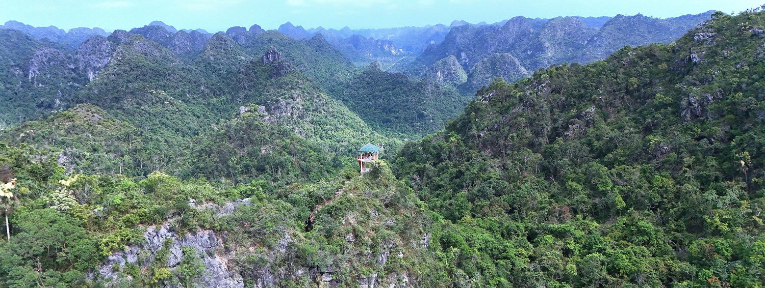 Đỉnh Ngự Lâm, VQG Cát Bà 